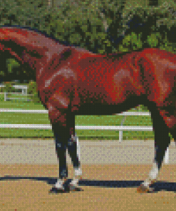 Dark Brown Bay Horse Diamond Painting