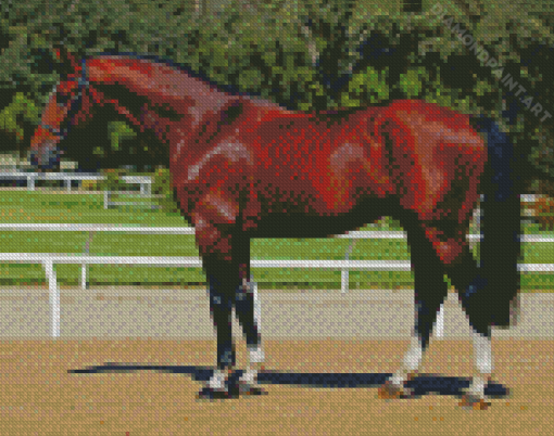 Dark Brown Bay Horse Diamond Painting