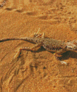 Desert Gecko Diamond Painting