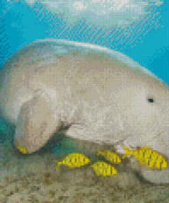 Dugong And Fishes Diamond Painting