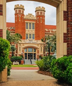 Florida State University Diamond Painting