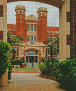 Florida State University Diamond Painting