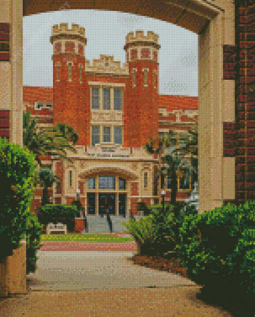 Florida State University Diamond Painting