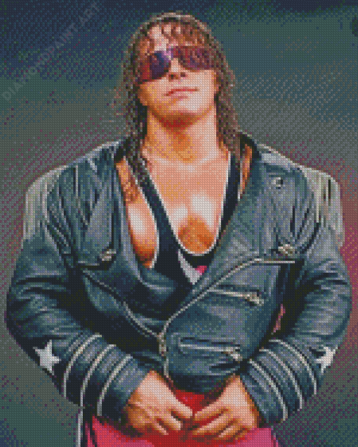 Former Professional Wrestler Bret Hart Diamond Painting