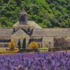 France Abbaye Notre Dame De Senanque Diamond Painting