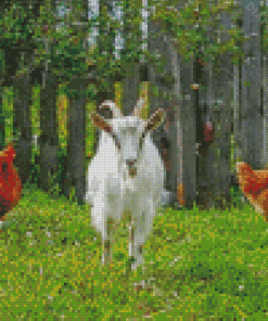 Goat And Chickens Diamond Painting