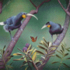 Huia Birds Diamond Painting