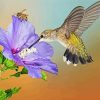 Hummingbird And Bee Diamond Painting