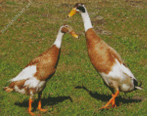 Indian Runner Duck Diamond Painting