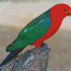 King Parrot Diamond Painting