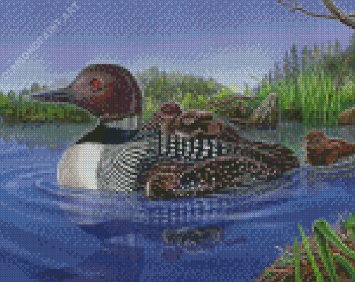 Loon With Babies Diamond Painting