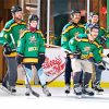 Mighty Ducks Team Diamond Painting