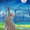 Moon Gazing Hare At Night Diamond Painting