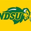 Ndsu Bison Diamond Painting