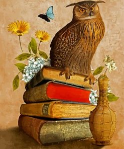 Owl Bird On Books Diamond Painting