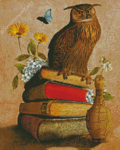 Owl Bird On Books Diamond Painting