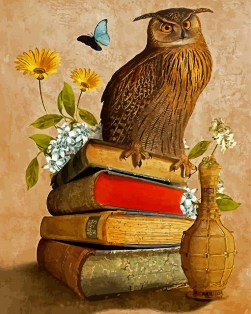 Owl Bird On Books Diamond Painting