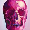 Pink Skull Art Diamond Painting