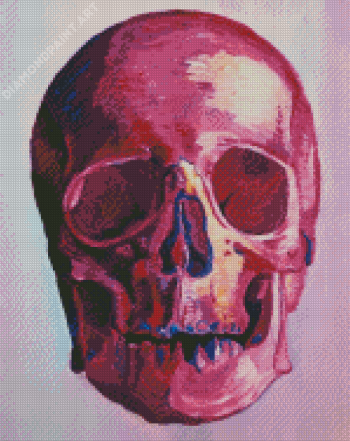 Pink Skull Art Diamond Painting