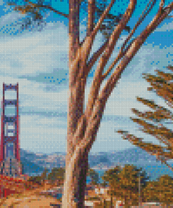 Presidio Of San Francisco Diamond Painting