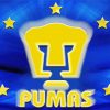 Pumas Unam Football Logo Diamond Painting