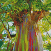 Rainbow Eucalyptus Diamond Painting