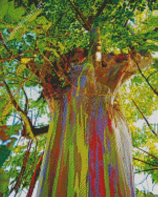 Rainbow Eucalyptus Diamond Painting