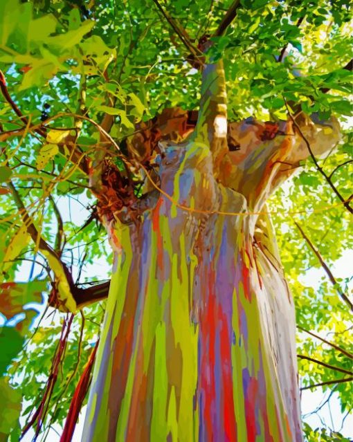 Rainbow Eucalyptus Diamond Painting