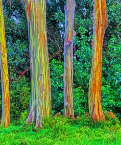 Rainbow Eucalyptus Trees Diamond Painting