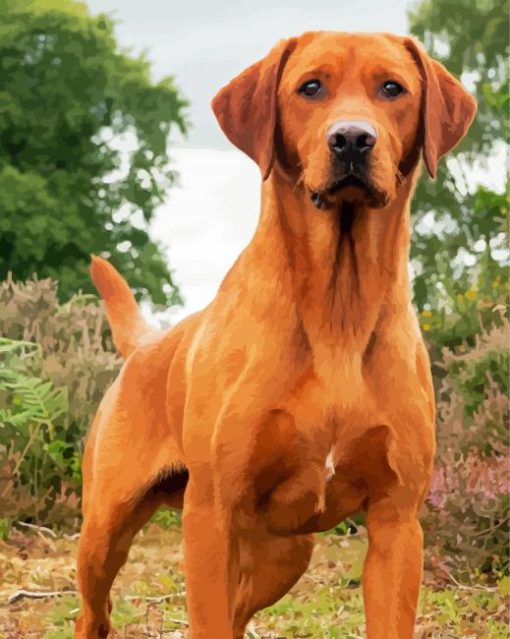 Red Fox Labrador Diamond Painting