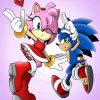 Sonic Amy Rose Art Diamond Painting