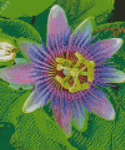 The Passionflower Plant Diamond Painting