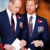 The Prince William And Harry Diamond Painting