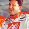 Tony Stewart Motorsport Racer Diamond Painting