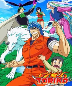 Toriko Poster Diamond Painting