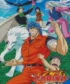 Toriko Poster Diamond Painting