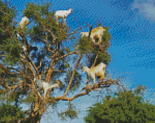 Tree Goats Diamond Painting