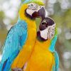 Two Parrots In Jungle Green With Blue Diamond Painting