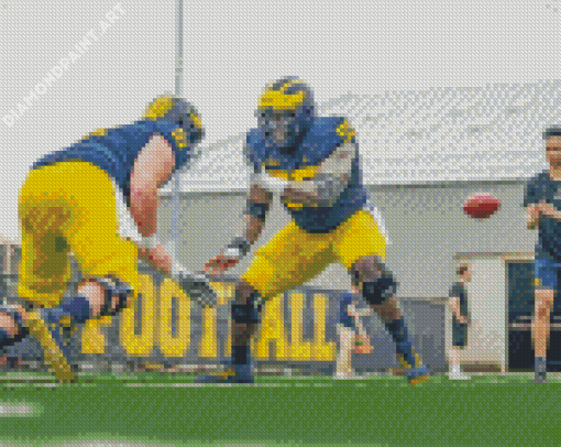 University Of Michigan American Football Team Players Diamond Painting