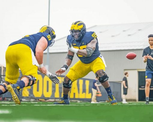 University Of Michigan American Football Team Players Diamond Painting