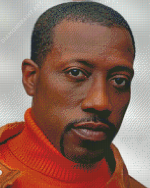 Wesley Snipes Diamond Painting