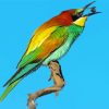 Aesthetic Bee Eater Art Diamond Painting