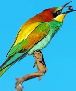 Aesthetic Bee Eater Art Diamond Painting