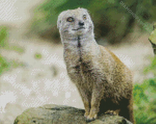 Aesthetic Mongoose Diamond Painting