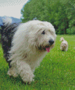 Aesthetic Old English Sheepdog Diamond Painting