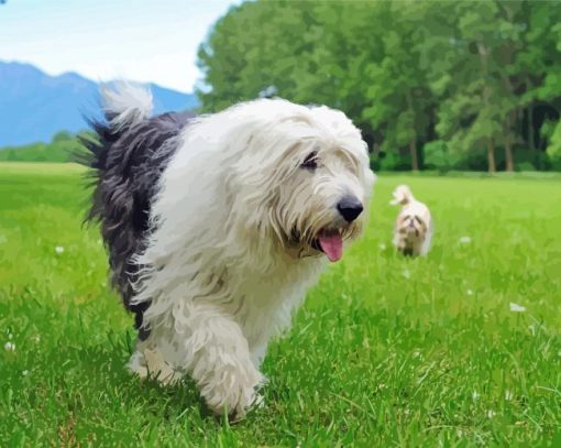 Aesthetic Old English Sheepdog Diamond Painting