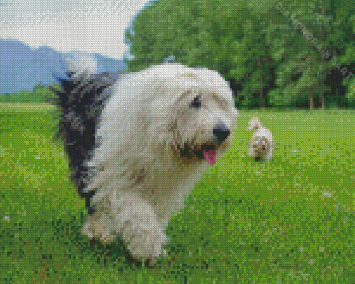 Aesthetic Old English Sheepdog Diamond Painting