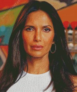 Aesthetic Padma Lakshmi Diamond Painting