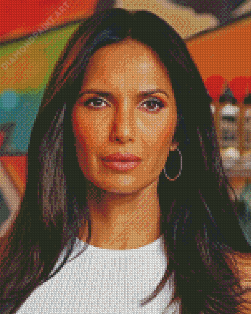 Aesthetic Padma Lakshmi Diamond Painting