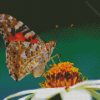 Aesthetic Painted Lady Art Diamond Painting